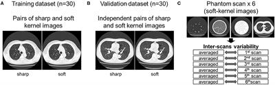 Kernel Conversion for Robust Quantitative Measurements of Archived Chest Computed Tomography Using Deep Learning-Based Image-to-Image Translation